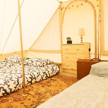 Aparra Surfcamp Capbreton Hotel Bagian luar foto
